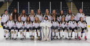 Salzburg Eagles - B-Team - Zweite Österreichische Bundesliga