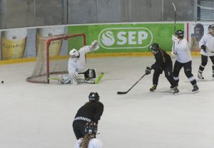 Kooperation der Damen-Eishockey-Clubs DEC Salzburg Eagles und DHC IceCats Linz.